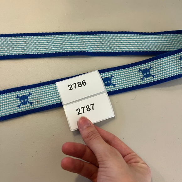 D-Ring Belt Blue Skull & Crossbones Woven Preppy‎ Nautical Coastal Casual - Picture 3 of 3